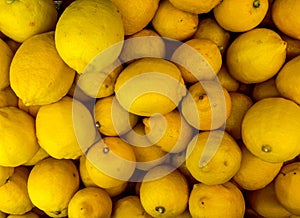 Lemon - Fresh Fruit Vegetabels After Harvest