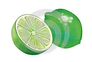 Lemon fresh illustration