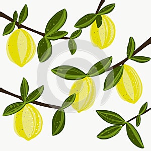 Lemon fresh illustration vector