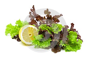 Lemon and fresh lettuce of different types on a white background