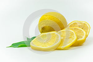 Lemon-fresh shoots in the Studio.