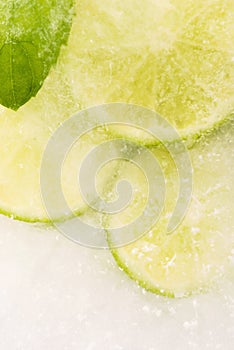 Lemon Frozen In Ice Cube