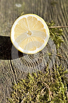 Lemon fruit