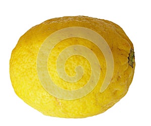 Lemon fruit Citrus limon L. Osbeck on a white / transparent background - png file available