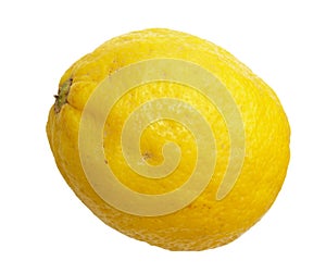 Lemon fruit Citrus limon L. Osbeck on a white / transparent background - png file available