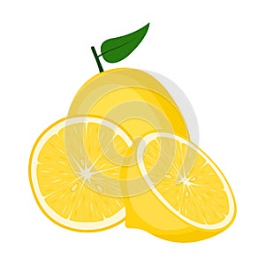 Lemon fruit, half and slice on white background, vector illustration