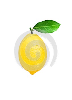 Lemon fruit with leaf isolated on white.