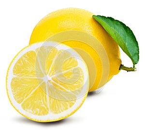 Lemon fruit leaf