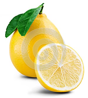 Lemon fruit leaf