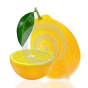 Lemon fruit with leaf. Lemon whole, half, slice