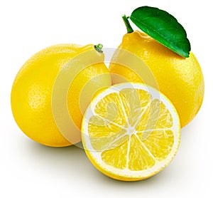 Lemon fruit leaf