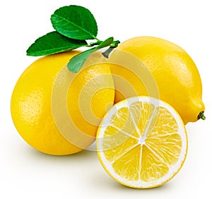 Lemon fruit leaf