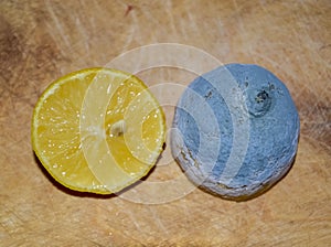 Lemon fruit, normal and diseased gray mold