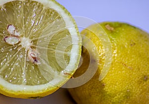 the lemon is a fruit tree belonging to the Rutaceae family. The common name lemon can refer to both the plant and its fruit