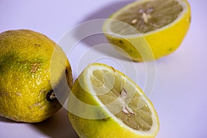 the lemon is a fruit tree belonging to the Rutaceae family. The common name lemon can refer to both the plant and its fruit