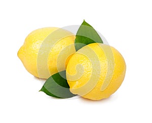 Lemon fruit on white