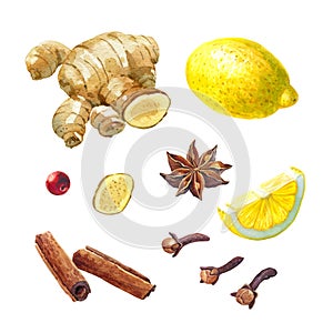 Lemon, giger and winter spices isolated on white watercolor illustration set