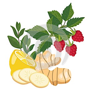 Lemon, ginger, mint, raspberry. Natural remedies, folk medicine