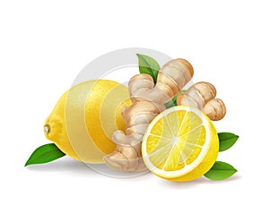 Lemon and ginger root isolated realistic illustration. Warming drink, gigner ale, tea anti - influenza, vector