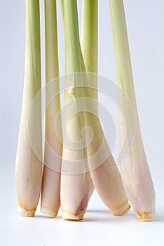 Lemon Grass