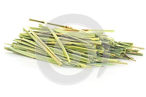 Lemon grass (Cymbopogon)