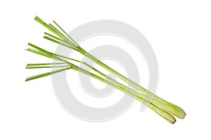 Lemon grass isoalted on white background with clipping path