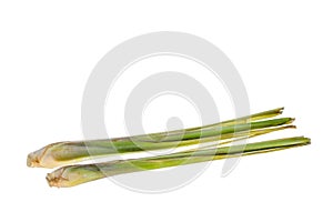 The Lemon grass on white background