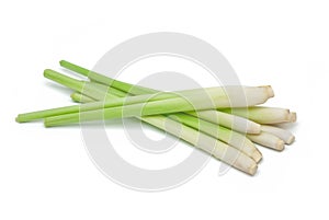 Lemon Grass