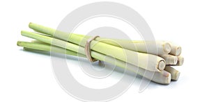 Lemon grass on white background.