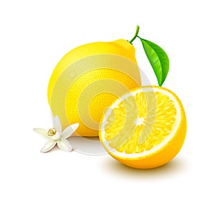 Lemon with half and flower on white background