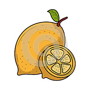 Lemon, hand drawn colored vector illustration