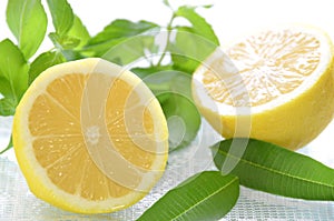 Lemon and herbs