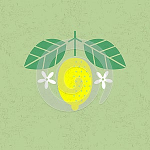 Lemon illustration. Lemon with leaves and flowers on shabby background. Flat design.