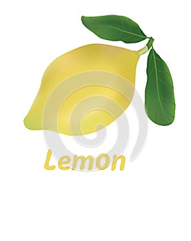 Lemon isolated on white.Sticker with space for text.