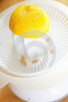 Lemon in juicer photo