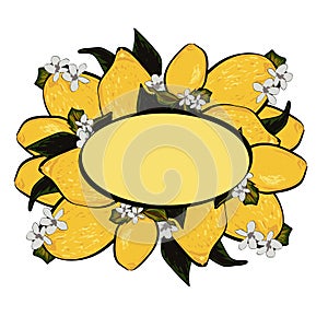 Lemon juicy oval frame
