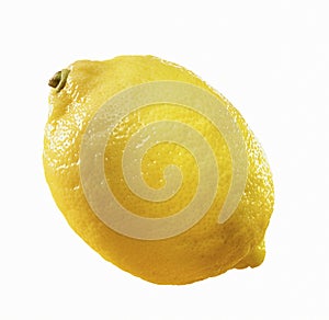 Lemon a.k.a. Citron