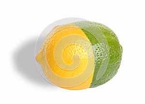 Lemon-Lime