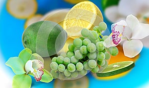 Lemon lime grape orange and ananas with  orchids flowers but on blue  white yellow background fruite leaves  berry  copy space tem