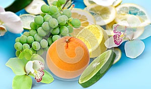 Lemon lime grape orange and ananas with  orchids flowers but on blue  white yellow background fruite leaves  berry  copy space tem