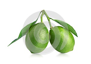 Lemon lime with leaves isolated on a white background