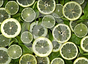 Lemon and Lime Slices