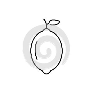 Lemon line icon. fruit logo