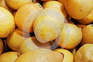 Lemon. Lots of lemons in full screen photo
