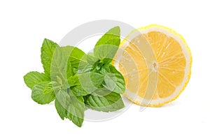 Limone menta 