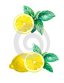 Lemon with mint leaves isolated on white watercolor illustration