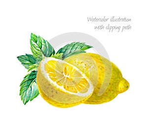 Lemon with mint leaves isolated on white watercolor illustrationn photo