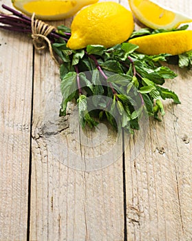 Lemon and mint on wooden table. Ingredients for lemonade and cocktails