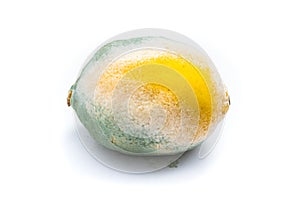 Lemon with mold