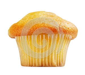 Lemon Muffin